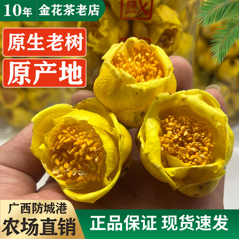 【十万大山金花茶】广西防城金花茶原生老树冻干金花茶冲泡非野生