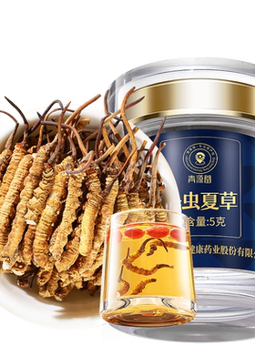 正宗同仁堂品牌冬虫夏草冻干断草