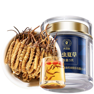 【正宗同仁堂品牌】北京同仁堂冬虫夏草冻干断草10g虫草自用泡酒