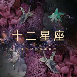 收藏原创设计金属珐琅胸针礼盒男友生日惊喜礼物 十二星座徽章套装