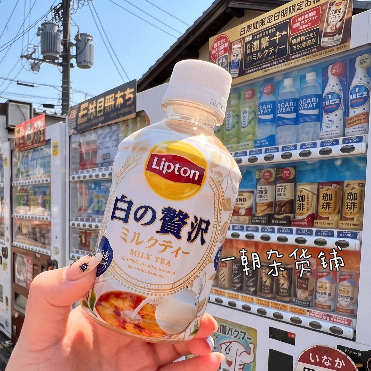 日本进口立顿Lipton白之奢华奶茶280ml瓶装北海道鲜奶油红茶饮料