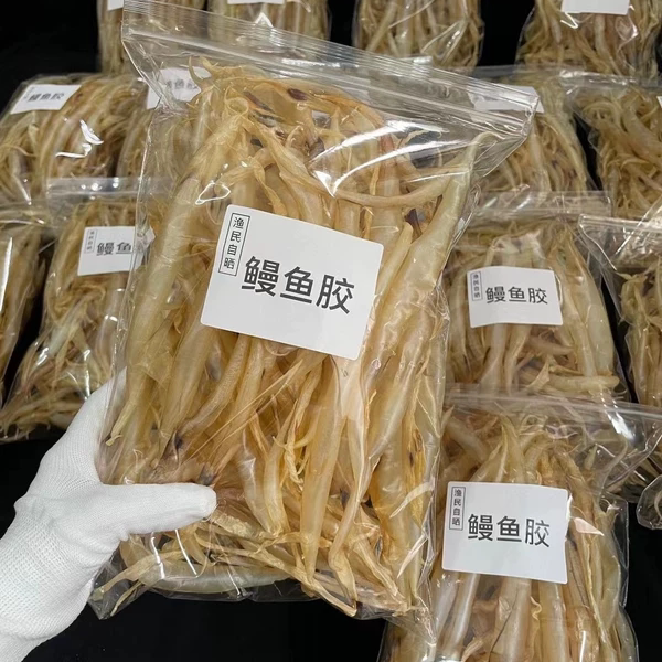 鳗鱼胶鳝鱼胶花胶鱼肚煮粥煮汤营养高非常适合青少年儿童老人