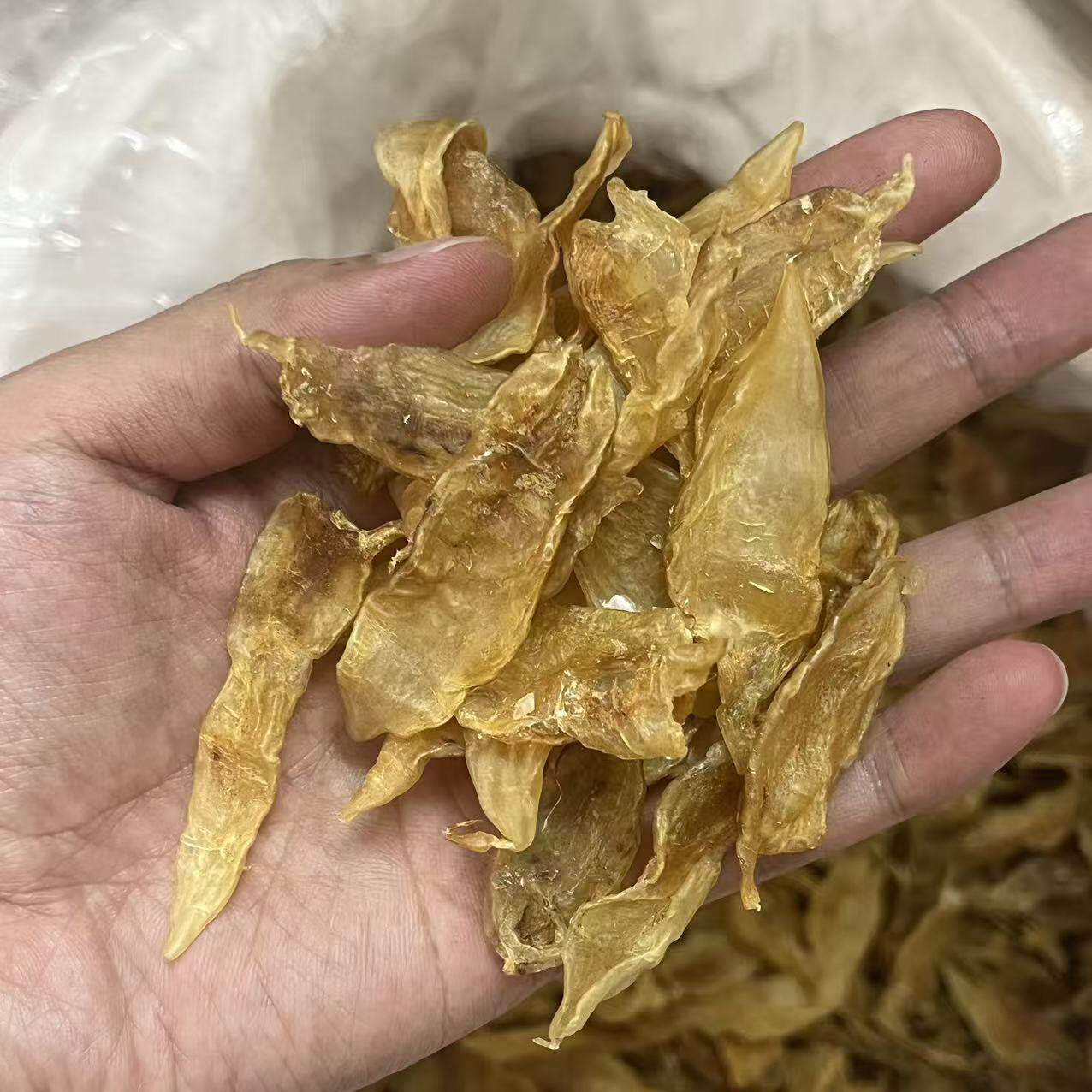 金龙胶特价小金龙鱼胶花胶煲汤滋补品汤料足干厚肉性价比高500克