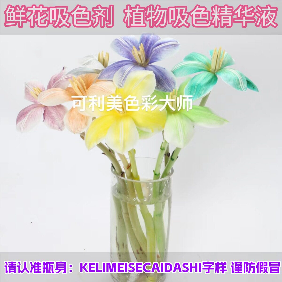 鲜花染色剂郁金香吸色剂满天星康乃馨可利美花色彩大师染妍颜料研