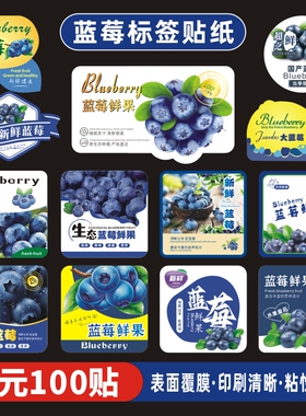 125g蓝莓标签商标定制标贴logo不干胶贴纸水果包装盒塑料盒果粘贴
