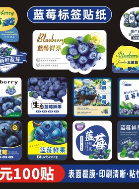 蓝莓标签贴纸定制水果包装盒设计