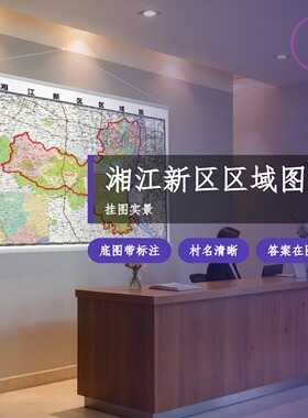 湘江新区区域图 现代简约装饰画 办公室挂画 定制地图挂图