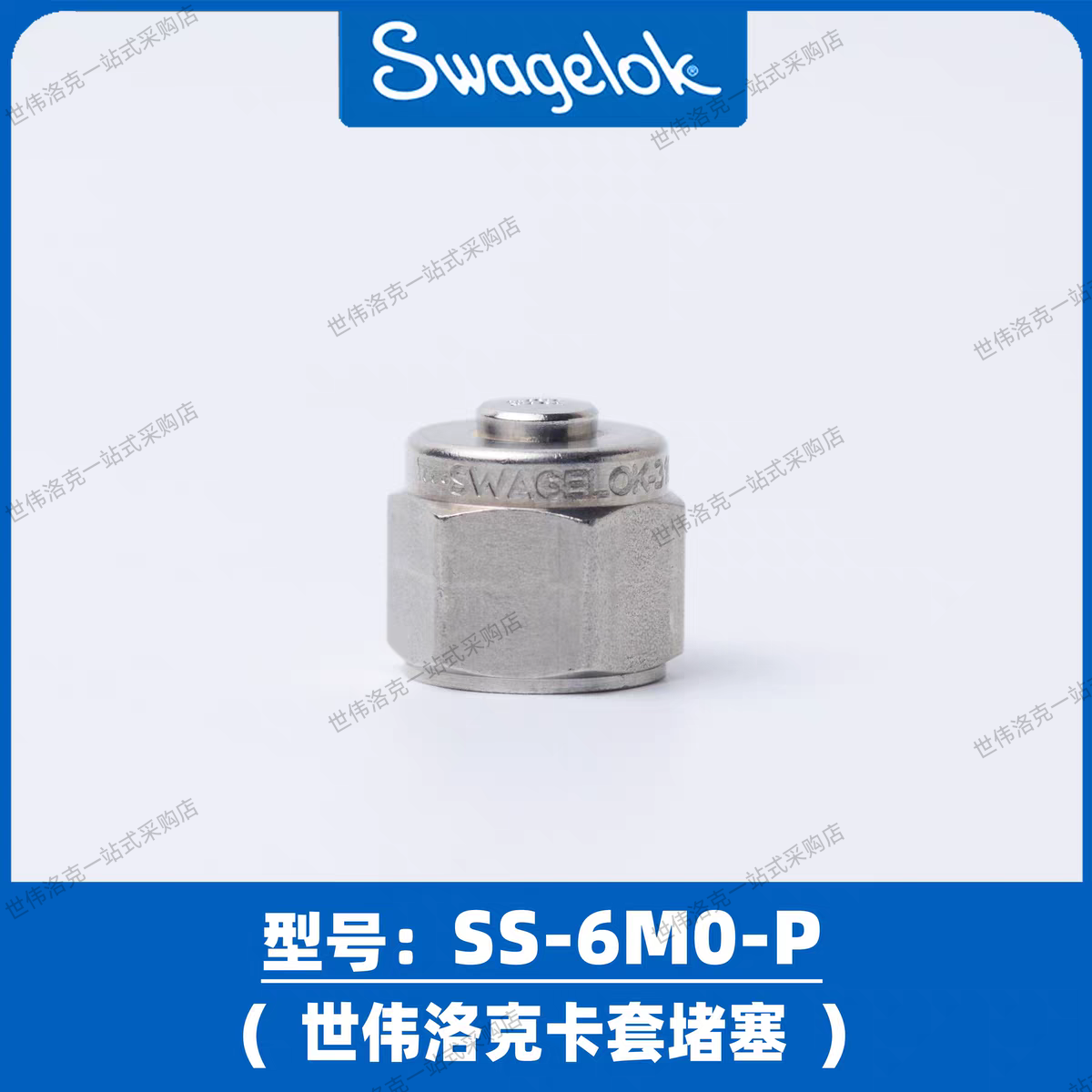 美国进口世伟洛克SWAGELOK卡套堵头 堵头 堵塞SS-6M0-P