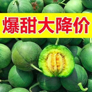 绿宝石甜瓜新鲜水果脆甜羊角蜜当季香瓜农家自种现摘现发精选大果