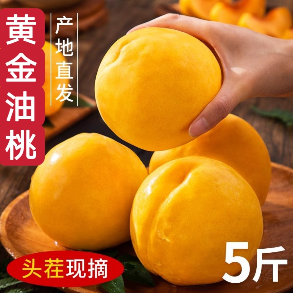 正宗蒙阴黄金油桃黄桃现摘现发新鲜水果孕妇当季锦绣桃子大果送礼