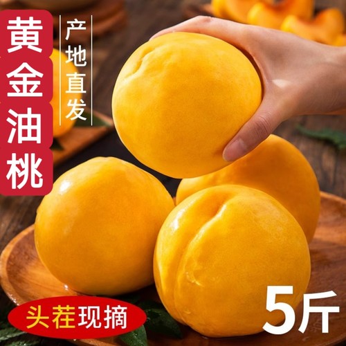 正宗蒙阴黄金油桃黄桃现摘现发新鲜水果孕妇当季锦绣桃子大果送礼