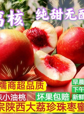 现摘红核离核蜜枣油桃珍珠蜜枣蜜桃陕西产地直发孕妇超甜无酸新鲜