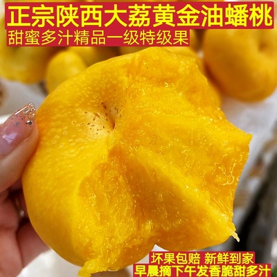 大荔黄金油蟠桃陕西蟠桃扁桃子黄桃产地直发精选大果现摘新鲜脆甜
