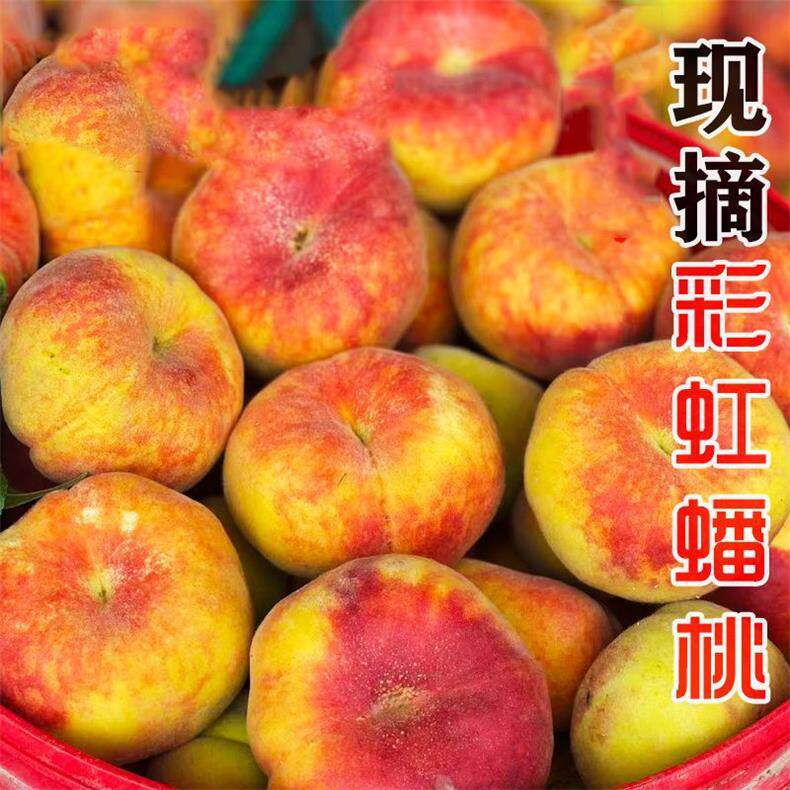 陕西大荔香妃红毛蟠桃新鲜香甜多汁现摘现发应季水果超甜多汁4斤