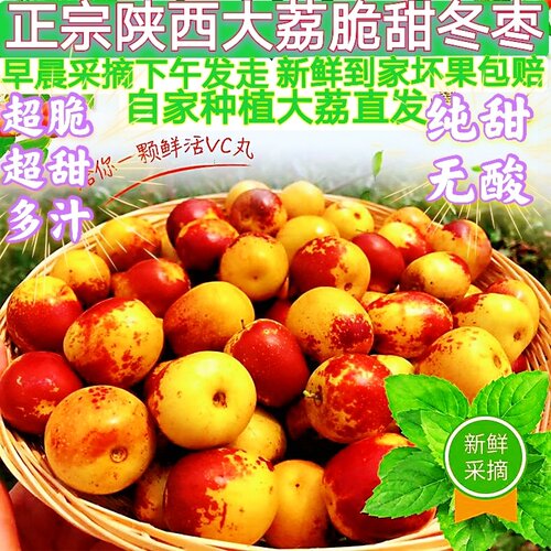 大荔冬枣4斤礼盒装脆甜陕西冰糖心脆甜枣子新鲜水果现摘精品大果