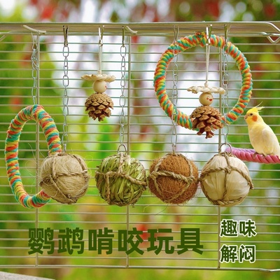 鹦鹉啃咬益智玩具草球