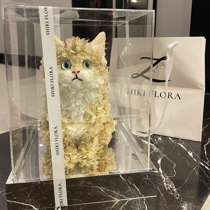 定制可爱猫咪永生花玩偶绣球礼盒