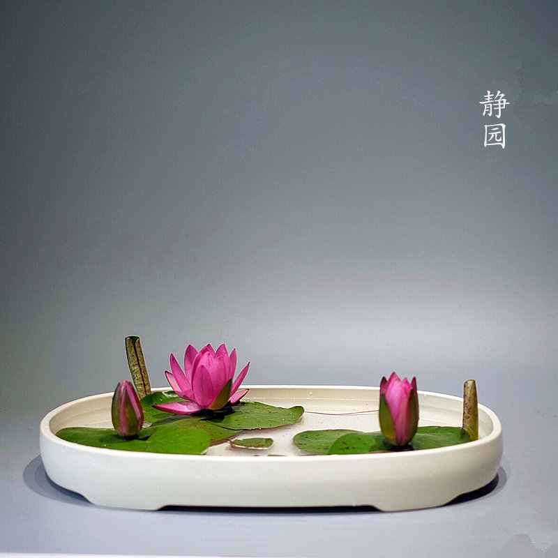 特大花盆小原流插花器大椭圆小判写景盛花台桌面装饰布展日式花道