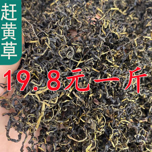 2026年古蔺赶黄草正品净重新品500g克非溪黄草茶干货扯根菜肝苏草