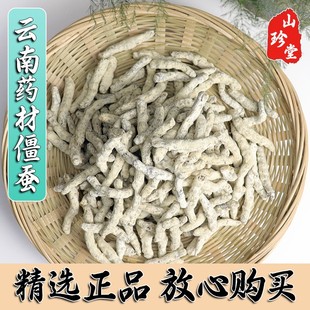 僵蚕中药材白僵蚕粉炒僵蚕500g干天虫姜蚕白僵虫姜蚕袋装正品天虫