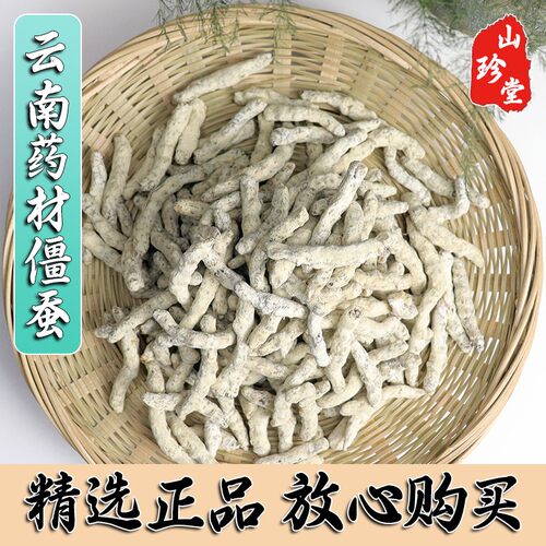 僵蚕中药材白粉炒500g干