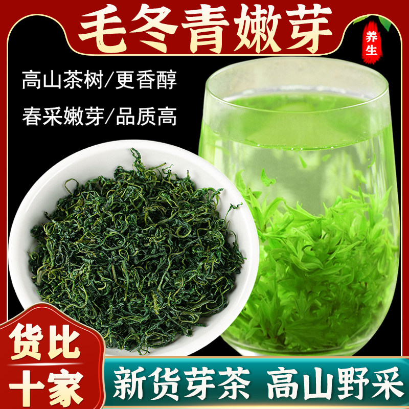 毛冬青云南净重茶中药材毛冬青茶正品嫩芽功效小叶苦丁茶2025新茶