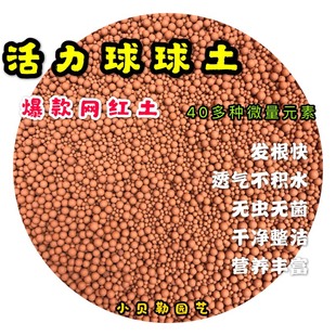 活力土球球土懒人土多元土麦饭石铺面颗粒素营养土 多肉 植物种植