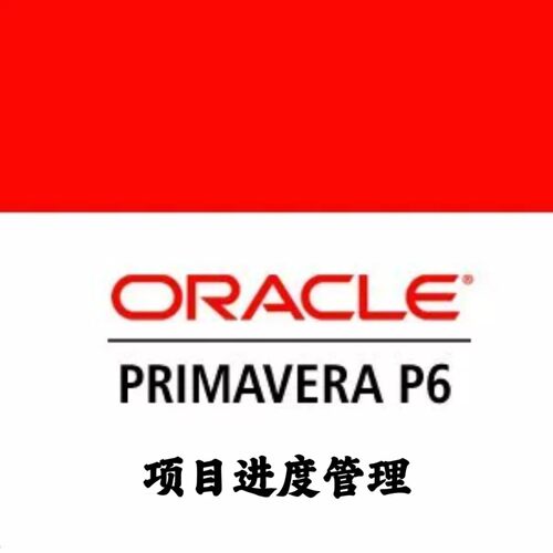 Primavera P6 Pro 25.12 多项目计划控制进度管理安装咨询指导