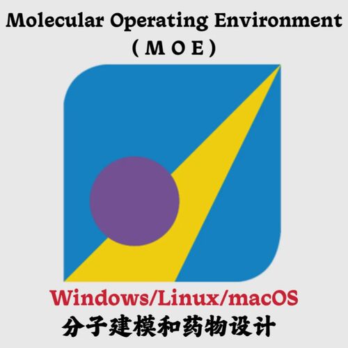 Molecular Operating Environment(MOE)2024.06 分子建模药物设计