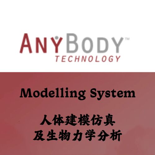 AnyBody Modelling System 8.1.4 人体建模仿真及生物力学分析