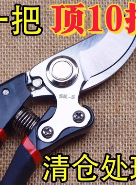 修枝剪园艺剪剪树枝果树专用剪刀修枝花卉果木葡萄剪子工具大全