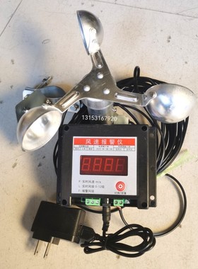 塔机塔吊专用风速仪 风速计建筑工地气象施工风力风级 船航测速仪