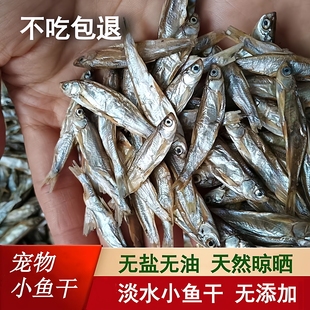 宠物零食小鱼干淡水无盐无油小白条鱼干猫咪零食猫吃鱼干乌龟粮食