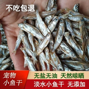 [宠物零食小鱼干淡水无盐无油小白条鱼干猫咪零食猫吃鱼干乌龟粮食]