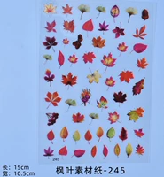 № 245 Материал кленового листа 1