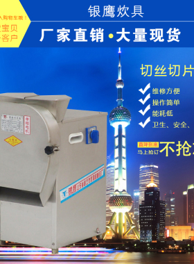 厂家供应山东银鹰 YQSP200型切丝切片机 土豆切丝切片机 商用小型