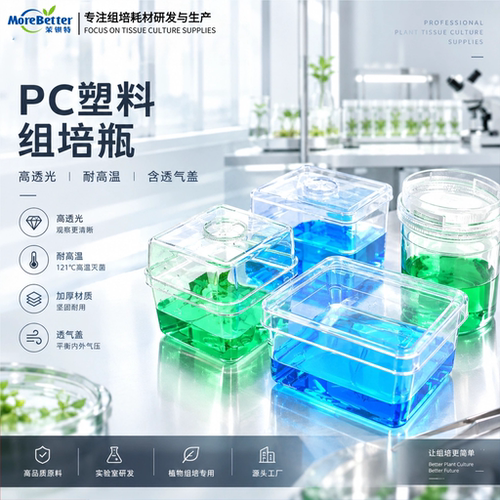 茉钡特PC高透光塑料组培瓶组培盒