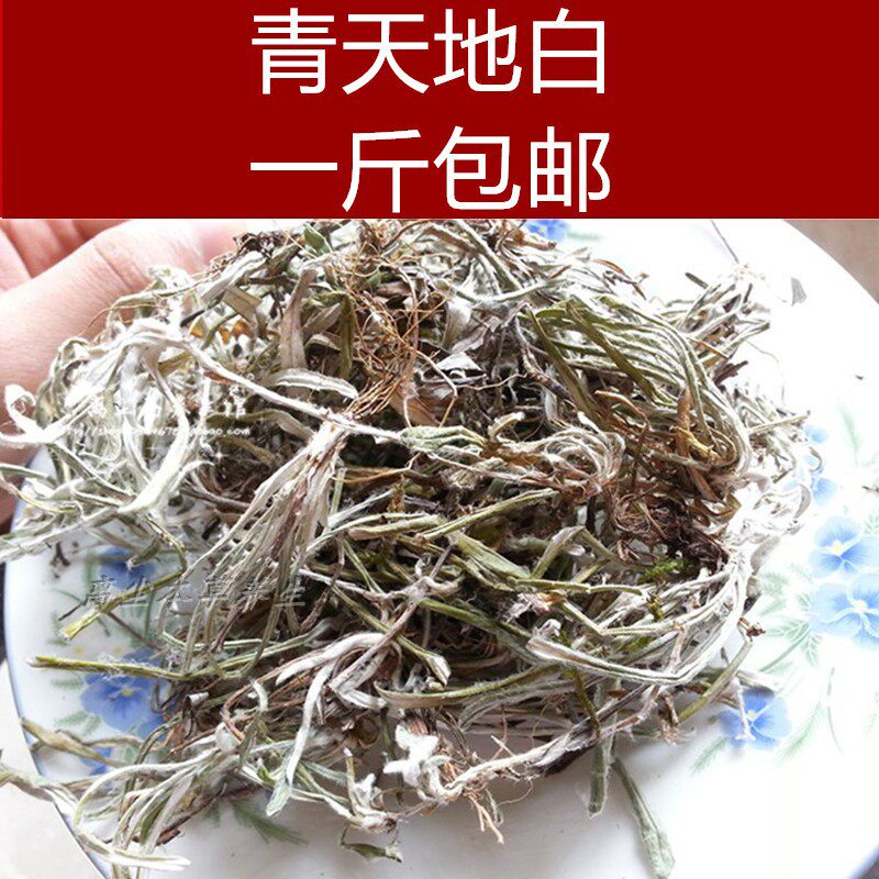野生鼠曲草中药材