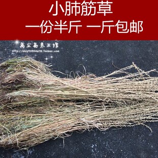 浙江野生小肺筋草 金线吊白米 土瞿麦 肺痈草 全草 250克一斤包邮