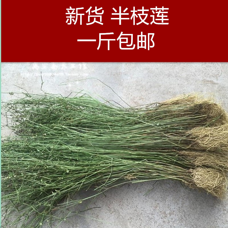 中药材半枝莲白花蛇舌草1斤包邮
