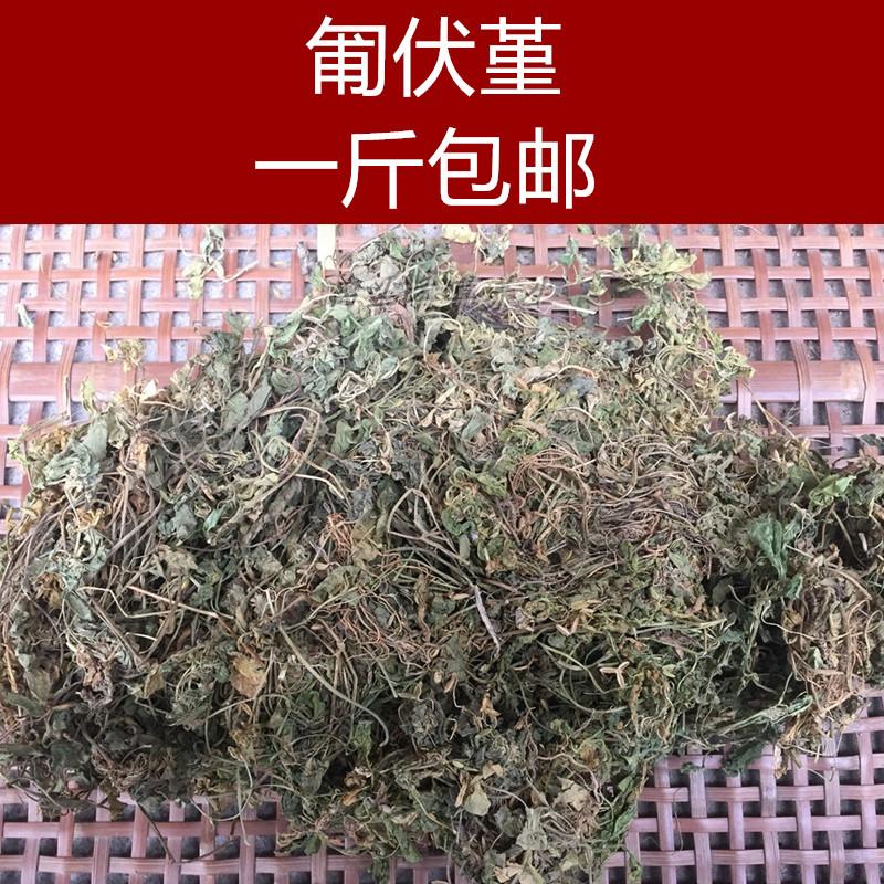 中药材野生 匍伏堇 附脓白 抽脓白 秋脓白 秋浓白 黄瓜香500克