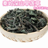 陕西秦岭深山旱莲草 旱莲草墨旱莲新货旱莲女贞子 墨旱莲草500克