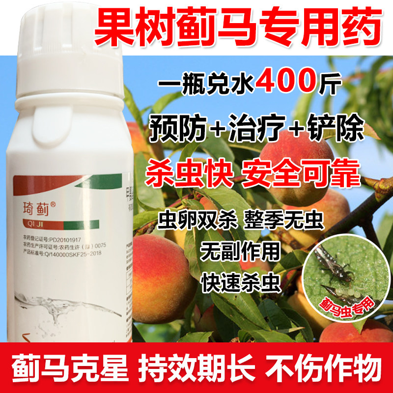 果树杀虫剂果树蓟马杀虫剂蓟马杀虫药虫卵双杀柑橘苹果桃树蓟马药