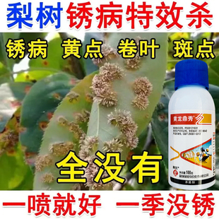 梨树锈病专用药戊唑醇赤星病羊胡子黄叶锈斑铁锈黄斑病农药杀菌剂