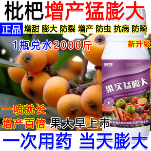 枇杷膨大剂膨大素枇杷专用增产叶面肥枇杷膨大防裂防虫抗病肥料