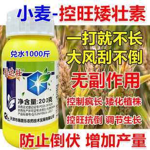 小麦矮壮素小麦生长调节剂小麦控旺剂小麦控旺药控制疯长增产