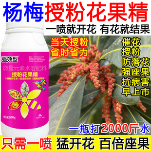 杨梅授粉药壮花座果灵杨梅催花素沾花素保花保果膨大抗病肥料正品