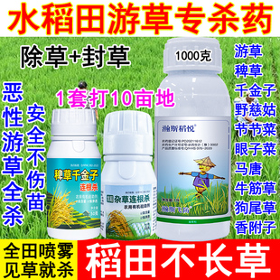 水稻苗后除草剂水稻田游草专用药稻田里游草一喷净死根不伤苗正品