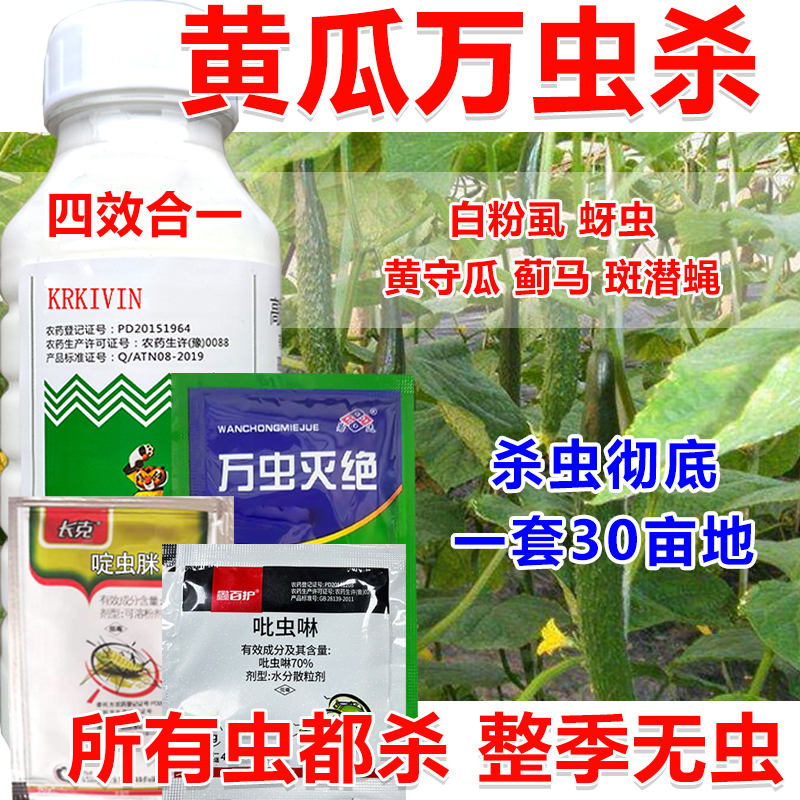 黄瓜杀虫剂黄瓜杀虫药黄瓜专用杀虫剂黄守瓜蓟马蚜虫杀虫剂组合装