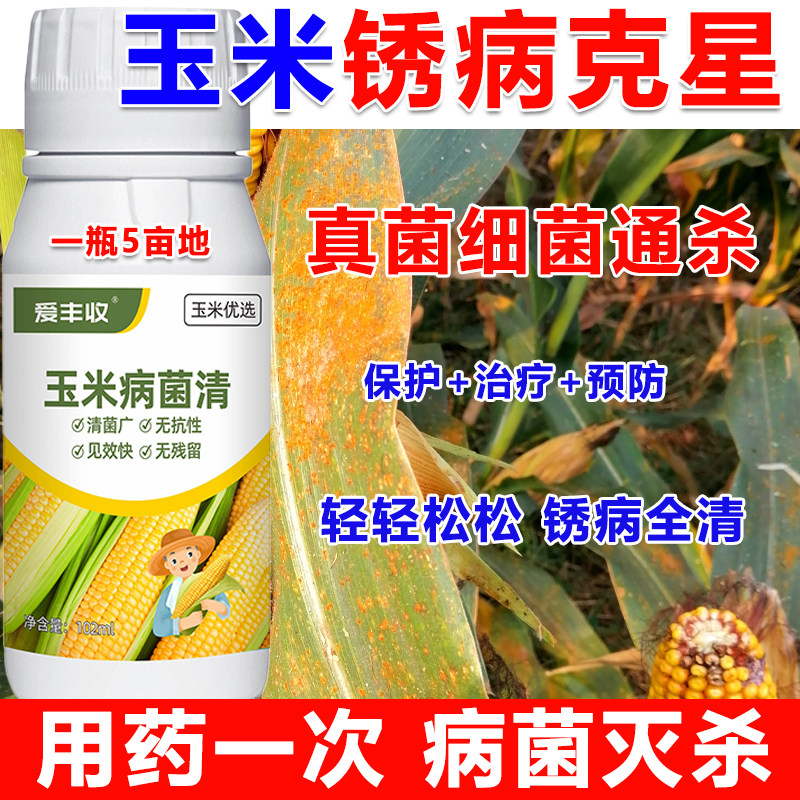 玉米锈病叶斑病黑穗病杀菌剂玉米纹枯病防治玉米锈病微生物菌肥